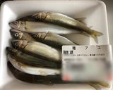 失敗なしの稚鮎のレシピ！作り方1写真