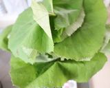 春♪ほろ苦さ残る★蕗の葉のアク抜き法作り方1写真