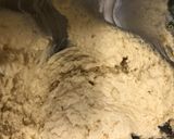 ナッツサワークリームコーヒーケーキ作り方3写真