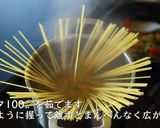 プロが教えるシーチキンバジルパスタ作り方9写真