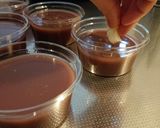 とろとろプルプル 口どけのよい水ようかん作り方12写真