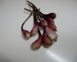 焼きアサツキ作り方1写真