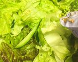 レタスが美味しいチョレギサラダ作り方4写真