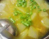 ツナと冬瓜のカレースープ作り方4写真