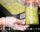 ザワークラウト作り方9写真