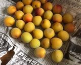 1晩で!1番簡単!梅シロップ作り方1写真