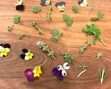 お花とハーブのクッキー作り方5写真