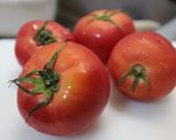 我が家の定番ハンバーグ トマトソース添え作り方10写真