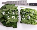 意外と知らない。正しいほうれん草のお浸し作り方4写真