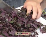 JA洞爺湖町　赤シソ①万能シソ油味噌作り方1写真