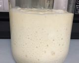 レーズン酵母と酵母種作り方11写真