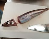 ニギスを煮たのと、お刺身　沖ギス作り方3写真