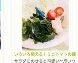いろいろ使える！ミニトマトの蝶切り作り方52写真