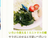 いろいろ使える！ミニトマトの蝶切り作り方52写真