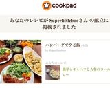 簡単☆キャベツと人参のコールスロー作り方8写真