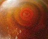 豚バラと夏野菜のさっぱりマリネ(揚浸し)作り方1写真