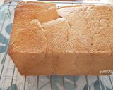 全粒粉約50％食パン作り方9写真