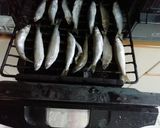 鮎の甘露煮作り方1写真