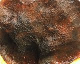 バスク風チーズケーキ作り方7写真