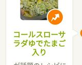 コールスローサラダゆでたまご入り作り方8写真