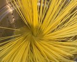 お洒落！男飯！オイルサーディンのパスタ作り方8写真