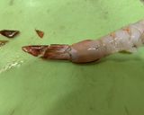 エビの下処理　フライ・天ぷらなどに作り方10写真