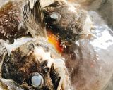 クロソイの煮付け(アラ)作り方4写真