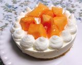 ★レアチーズ好きによるレアチーズケーキ①作り方17写真