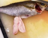イサキの3枚おろし作り方9写真