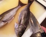 イサキの3枚おろし作り方13写真