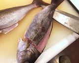 イサキの3枚おろし作り方15写真