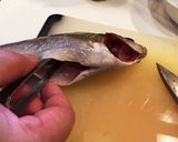 イサキの3枚おろし作り方11写真