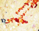 蒙古タンメン中本で簡単チーズリゾット風作り方15写真