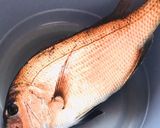 生ウニと昆布じめ鯛をご飯に乗せて〜作り方1写真
