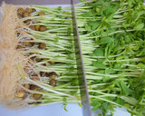 栄養満点☆豆苗とベーコンのマヨ炒め作り方4写真