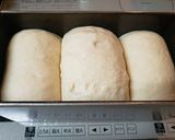 レーズン元種&湯だね食パン2斤作り方9写真