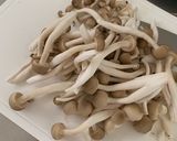 麺つゆで簡単！キノコたくさん和風パスタ作り方7写真