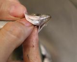 何匹でも食べられる！小アジの唐揚げ作り方3写真