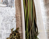 簡単、生蕨の下処理（木灰編）作り方1写真