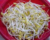 簡単！餃子リメイク☆ペペロンもやし作り方1写真