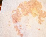 簡単手作り！鶏ひき肉のミートソース♪作り方4写真
