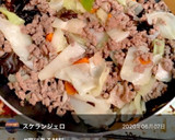 春キャベツと豚ひき肉の簡単炒め作り方3写真