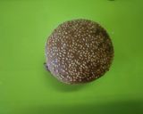 味噌漬けてりやきわさびマヨチキンバーガー作り方13写真