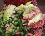 トマト餃子♡超簡単作り方2写真