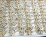 野菜たっぷりジューシー餃子作り方5写真