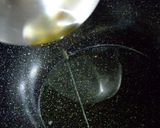 ゴーヤボート作り方14写真