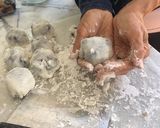 美味しい食感のブルーベリー大福作り方11写真