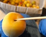 簡単！＊自家製はちみつ漬け南高梅作り方1写真