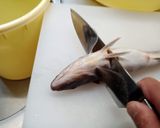 どこまで乾かす？ ホッケのみりん干し作り方4写真