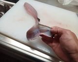 どこまで乾かす？ ホッケのみりん干し作り方15写真